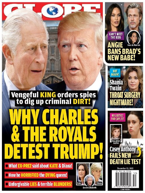 Title details for Globe by Mediaco LLC - Available